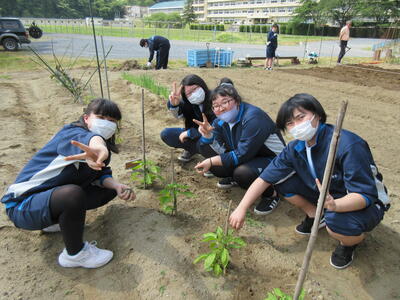 女子ｰズ